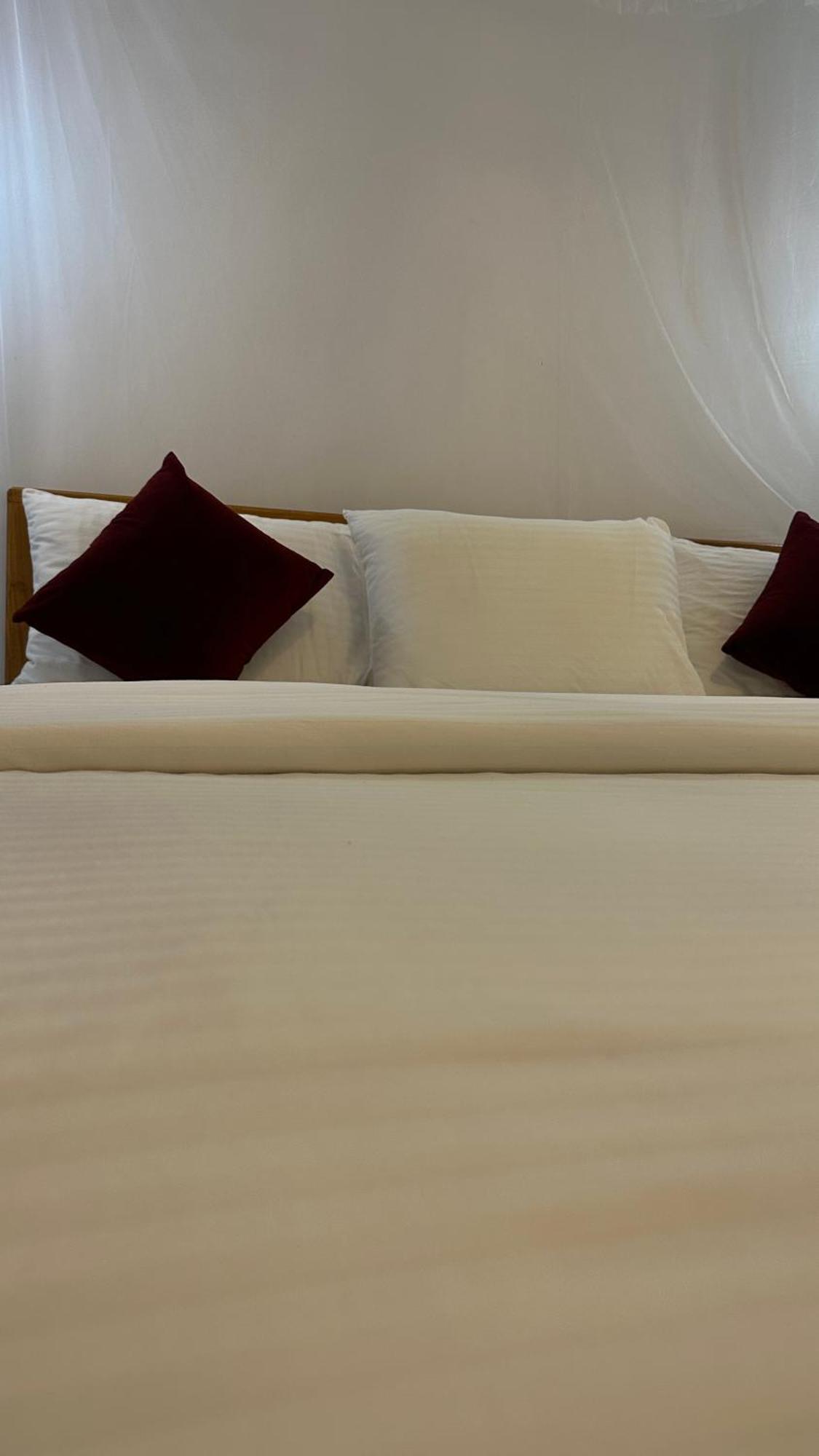 Cinnamon Homestay 엘라 외부 사진