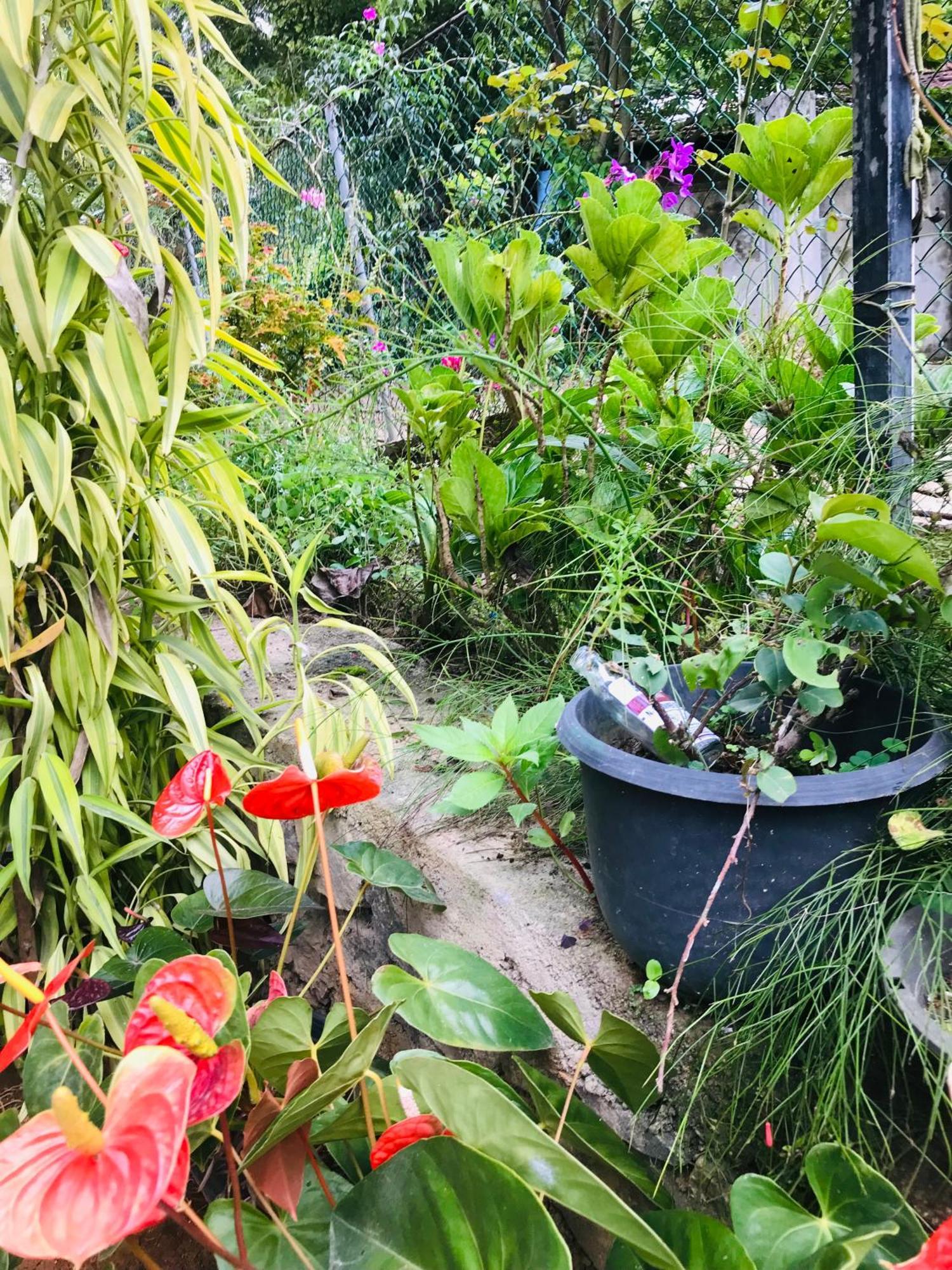 Cinnamon Homestay 엘라 외부 사진