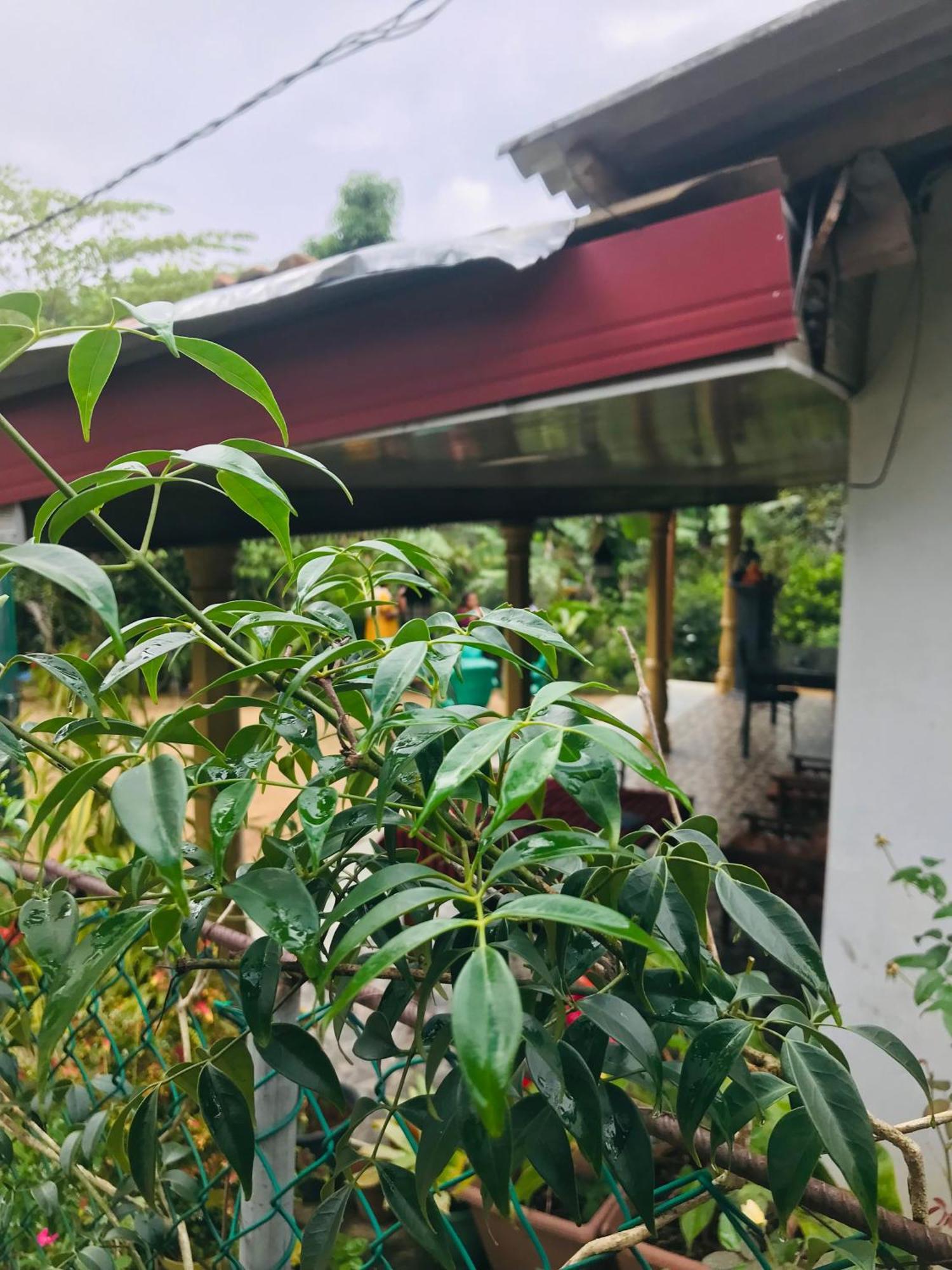Cinnamon Homestay 엘라 외부 사진