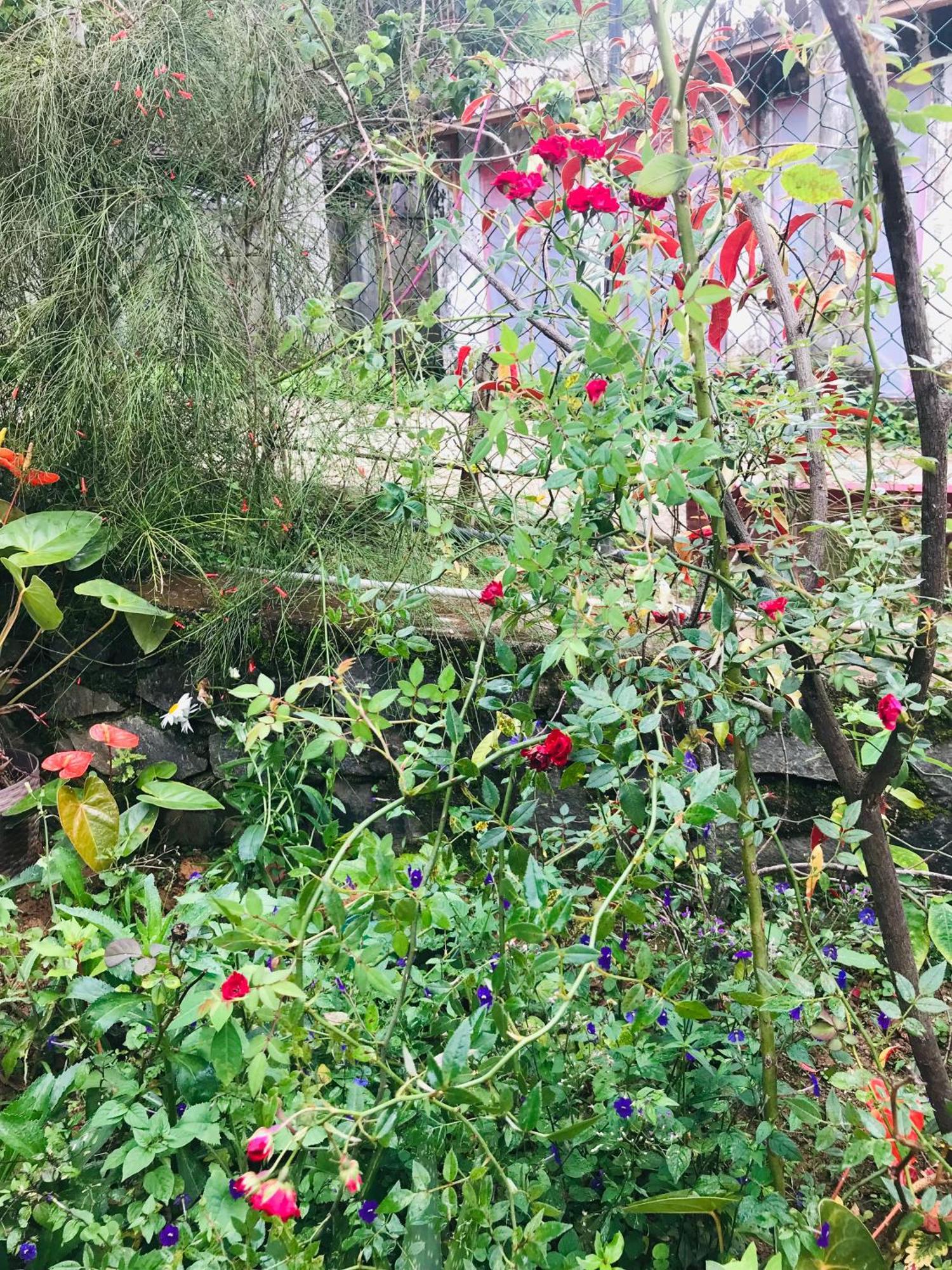 Cinnamon Homestay 엘라 외부 사진