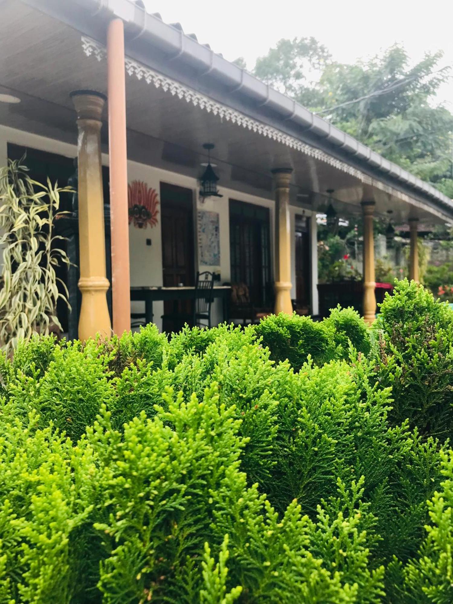 Cinnamon Homestay 엘라 외부 사진