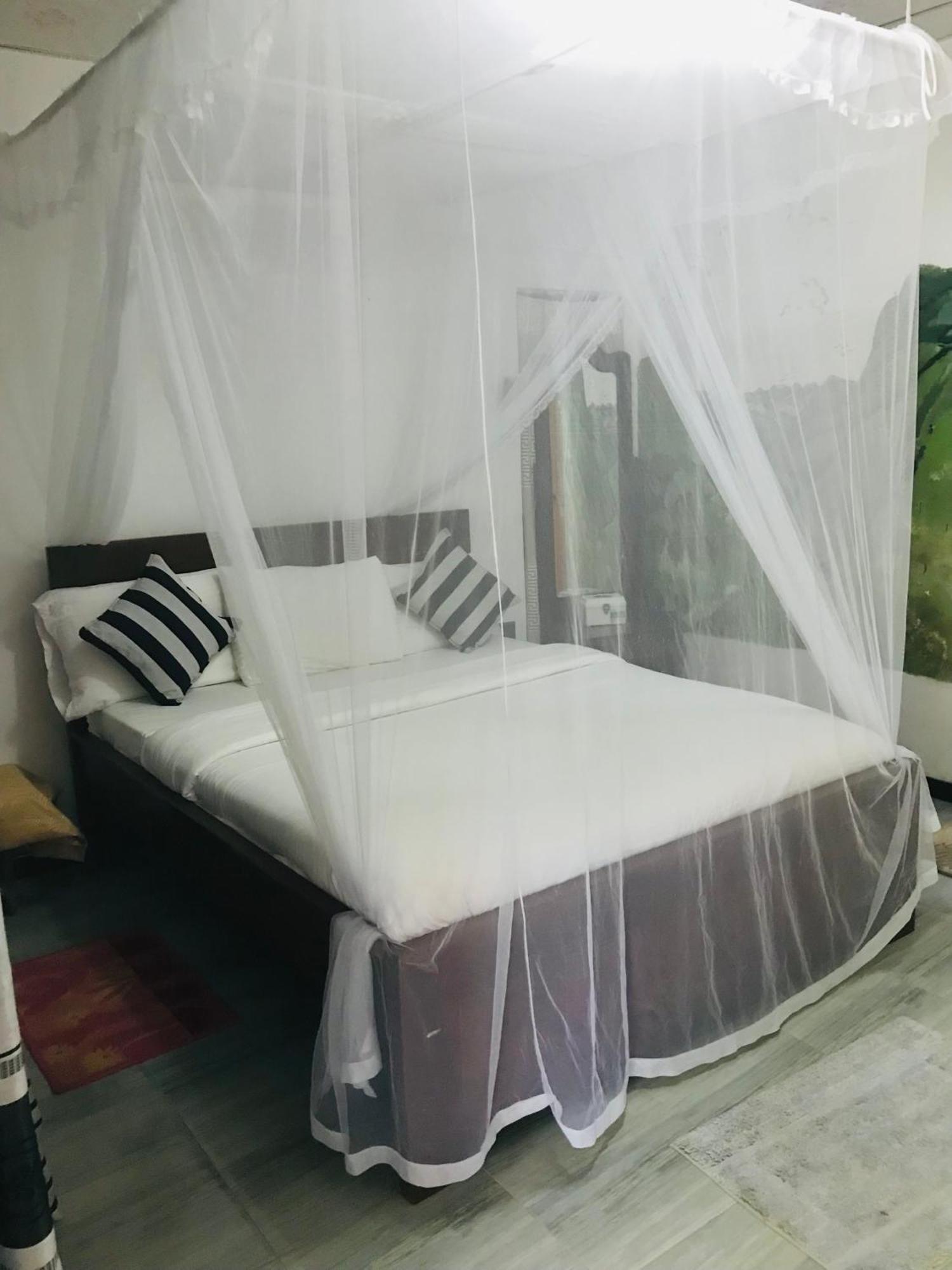 Cinnamon Homestay 엘라 외부 사진