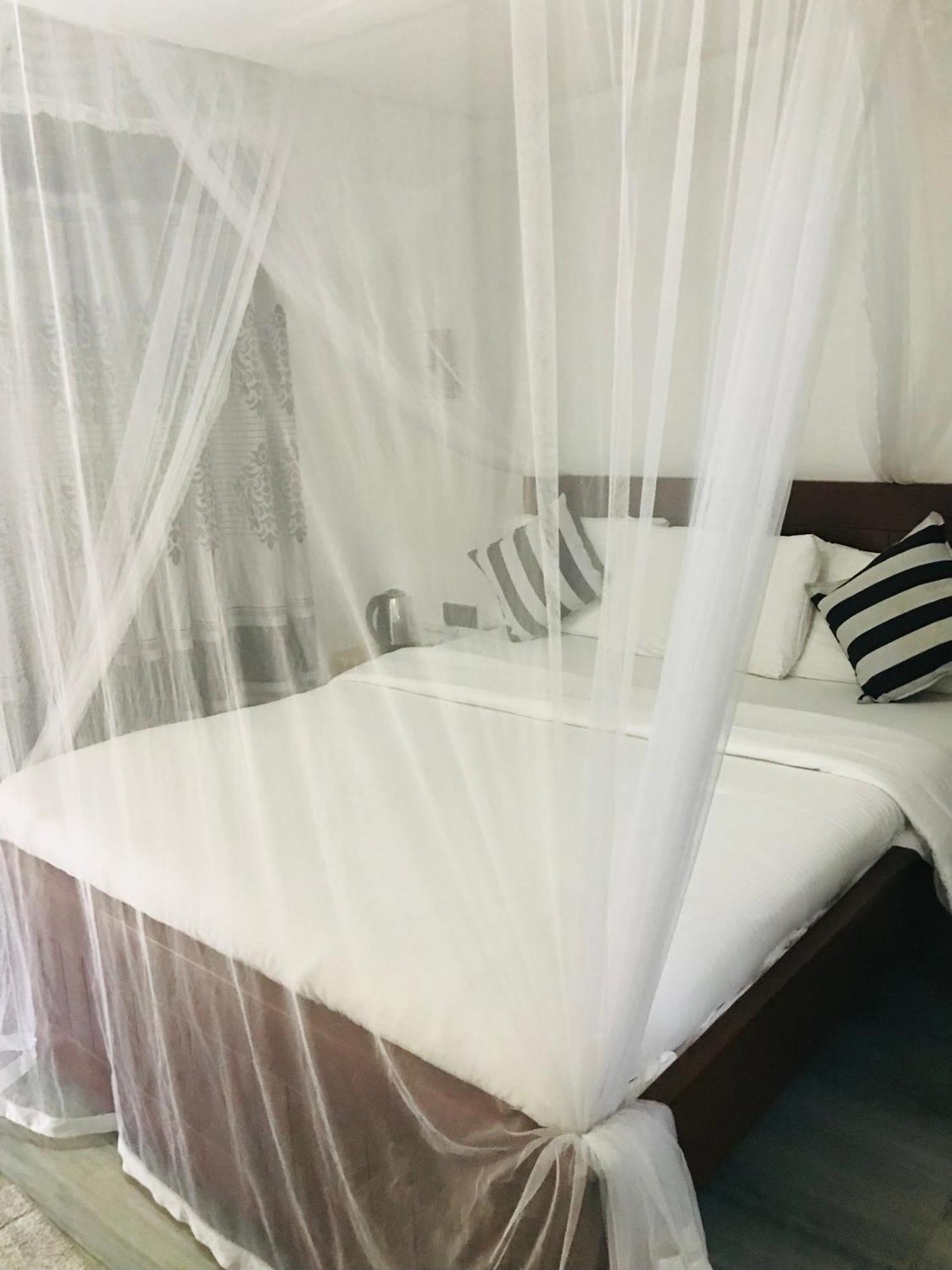 Cinnamon Homestay 엘라 외부 사진
