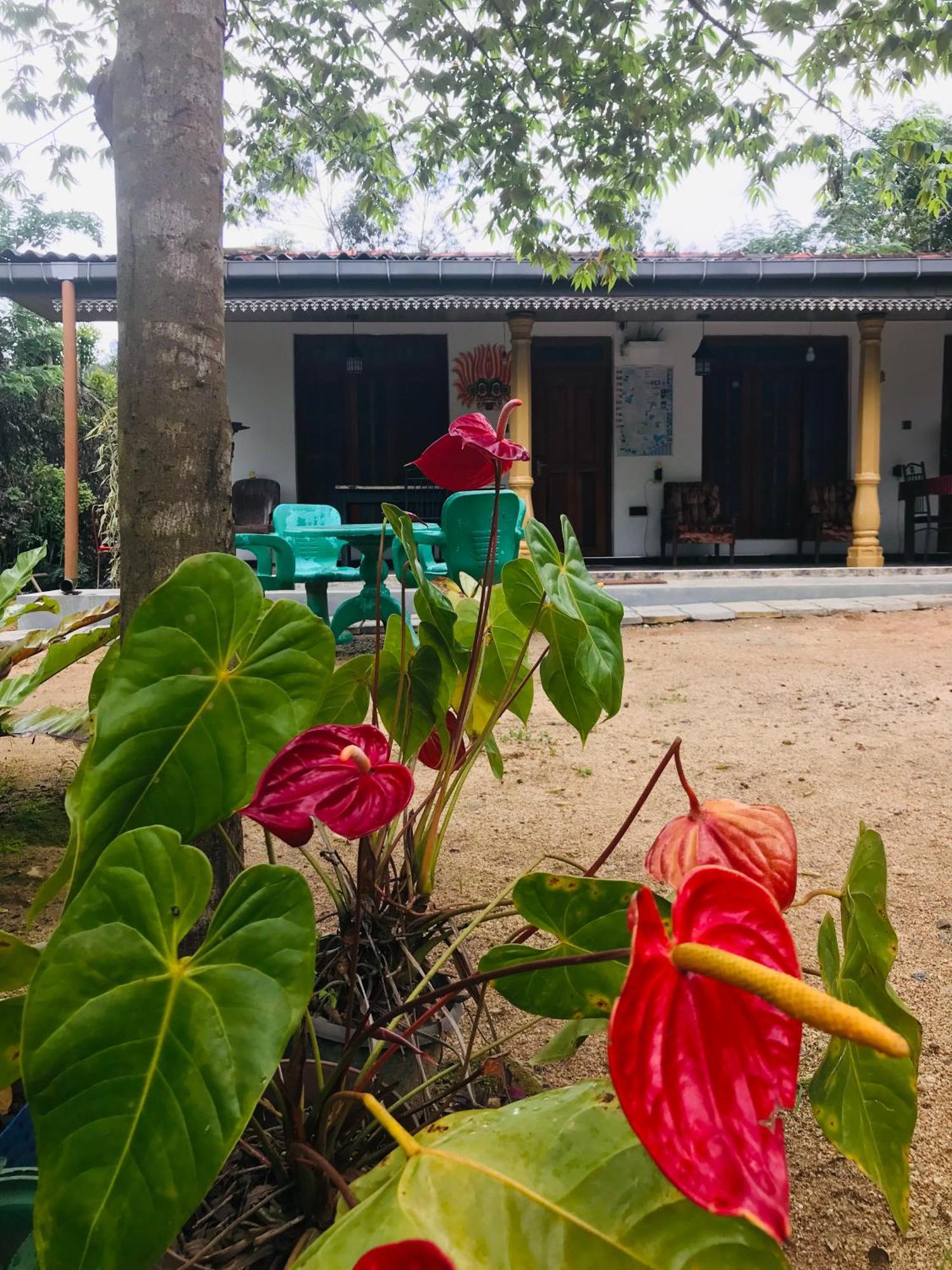 Cinnamon Homestay 엘라 외부 사진