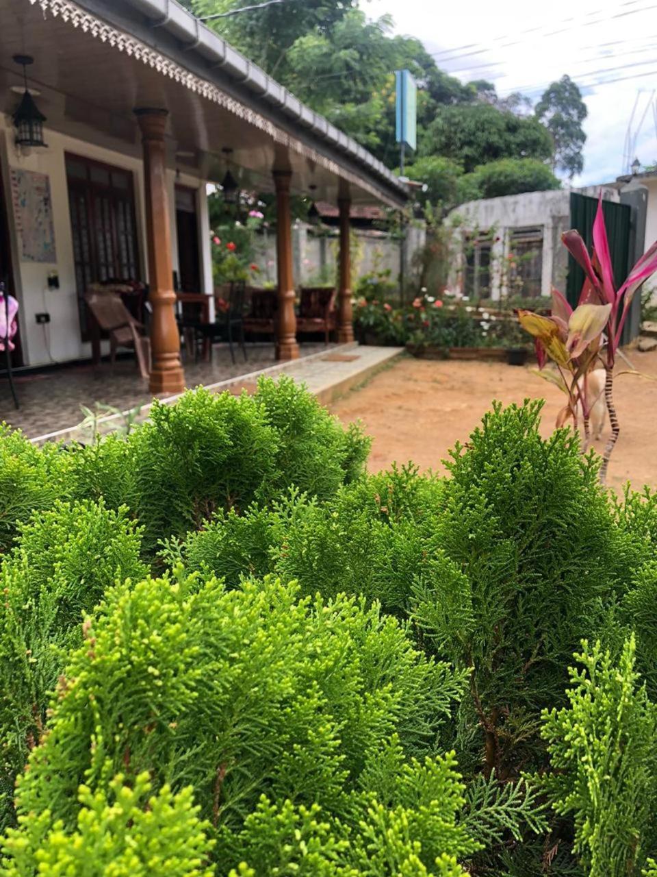Cinnamon Homestay 엘라 외부 사진