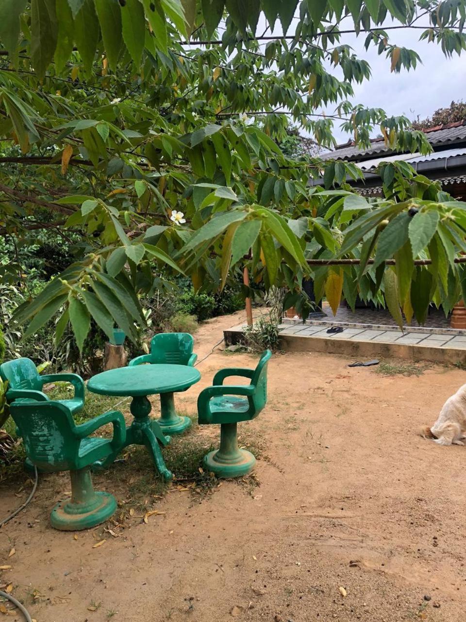 Cinnamon Homestay 엘라 외부 사진