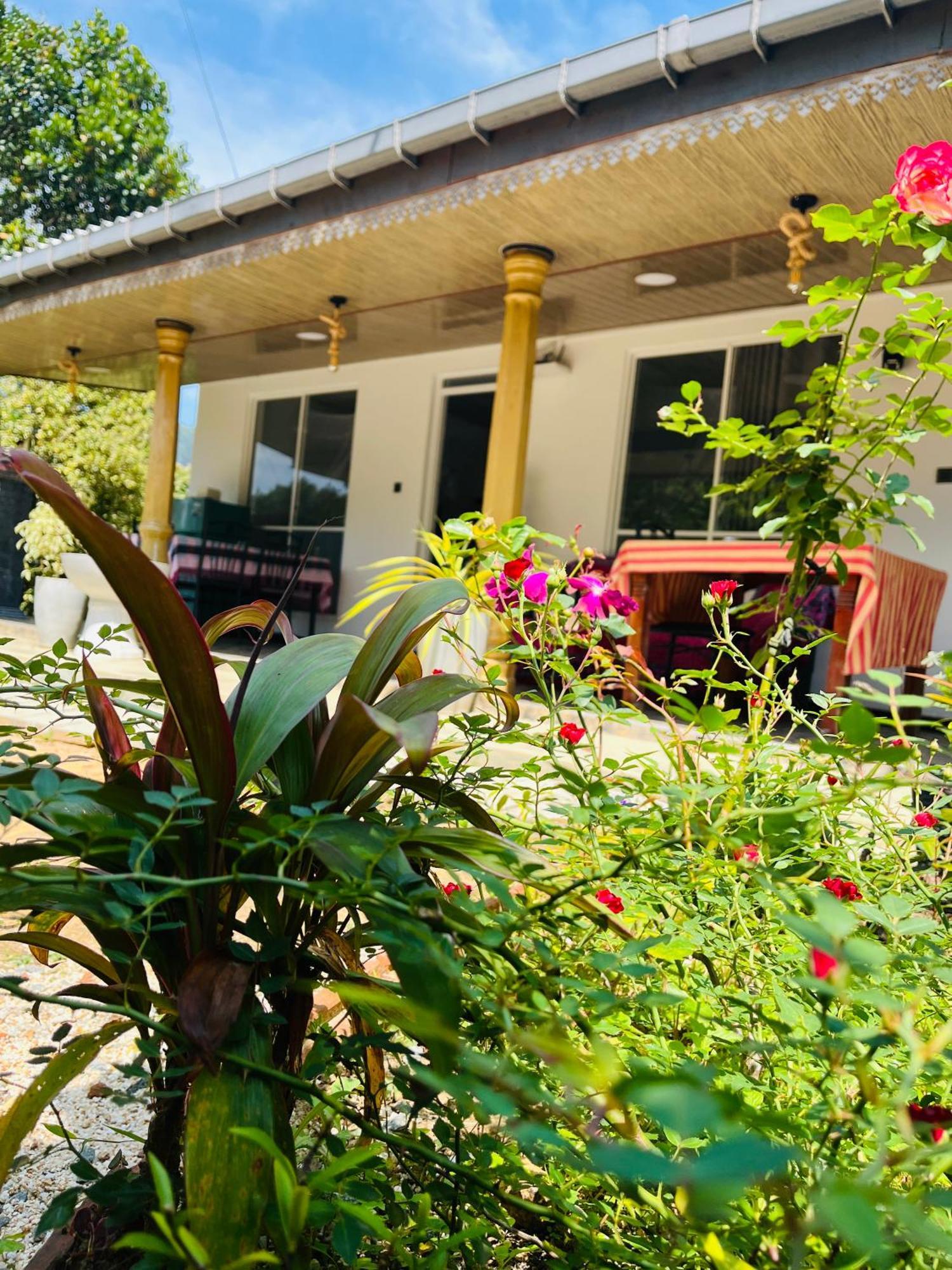 Cinnamon Homestay 엘라 외부 사진