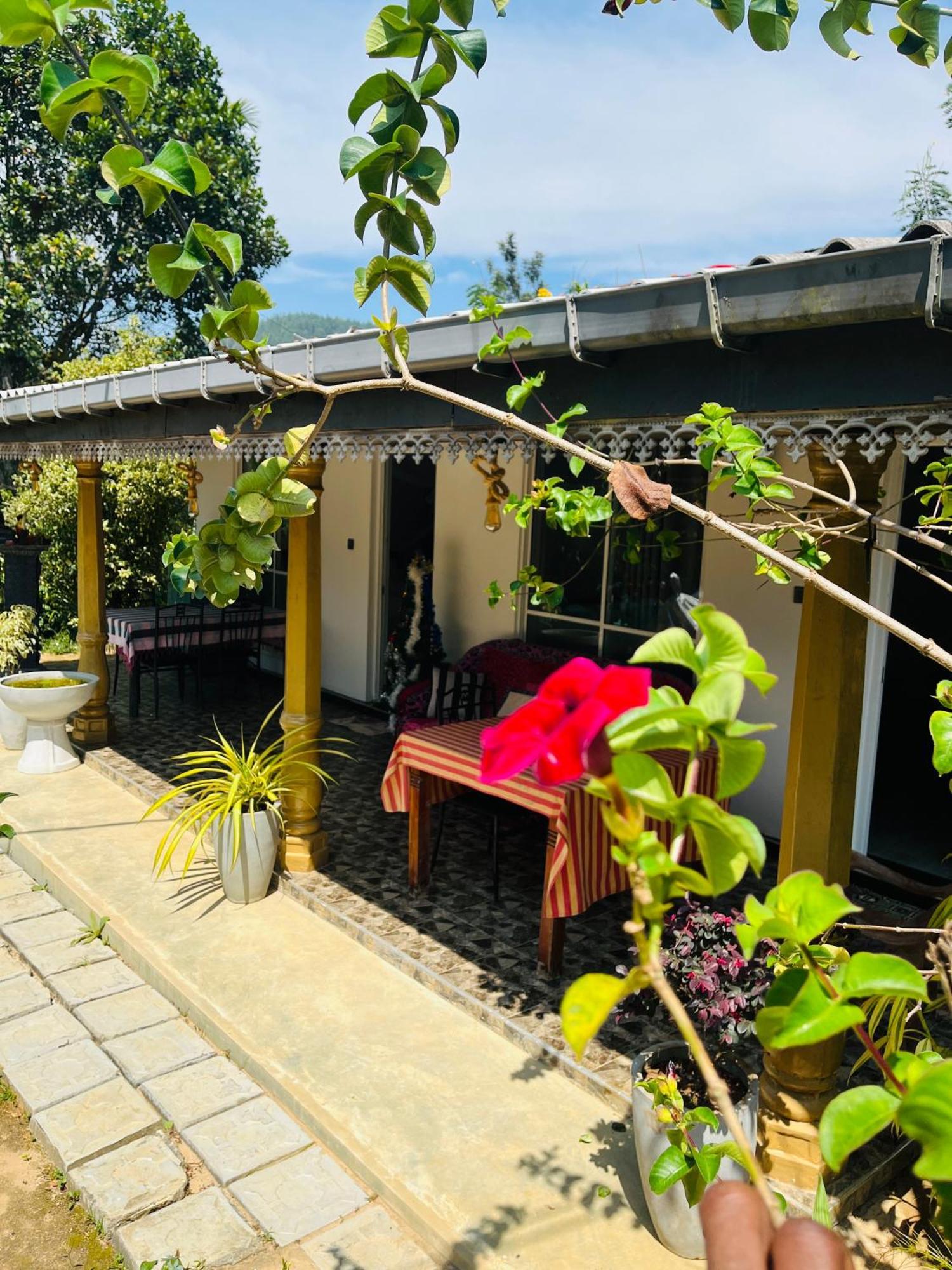 Cinnamon Homestay 엘라 외부 사진