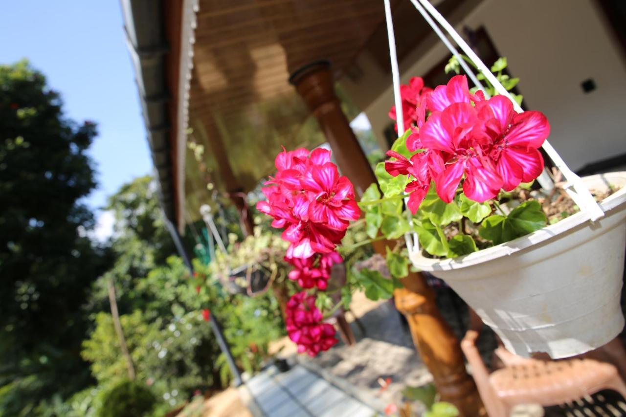 Cinnamon Homestay 엘라 외부 사진